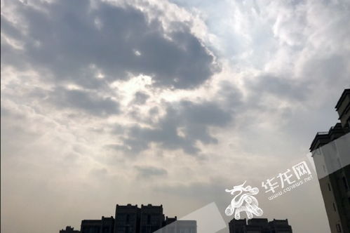 神州正版app下载地址，神州正版APP下载入口 V3.58.2 ✅✅✅