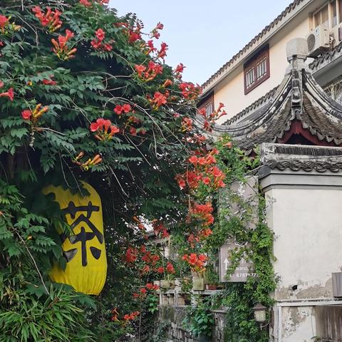 苏州15天天气预报，江南烟雨中的温度起伏，出行需留意