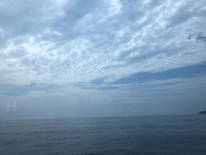 青岛未来30天天气预报，春暖花开，海风微凉