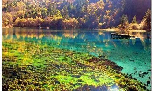 四川九寨沟15天天气预报与出行实用指南