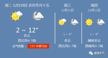 十五天的天气预报，一场与未来的温柔博弈