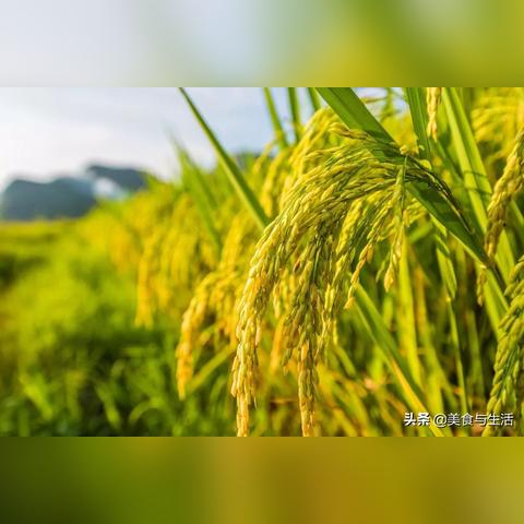 湖北今日天气预报，晴暖持续，早晚温差需留意