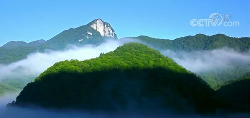 探秘北纬31°的绿色奇迹，神农架超全旅游攻略