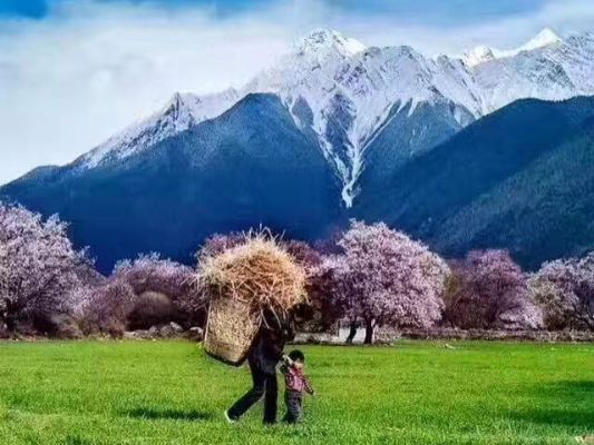 藏地江南，林芝天气的温柔与变奏