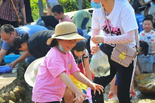 云南十一月气温与穿衣指南，秋冬旅行必备攻略