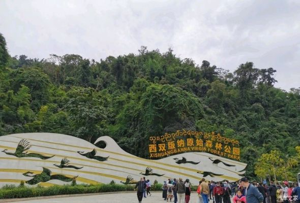 北回归线上的绿宝石，探秘西双版纳的生态奇迹