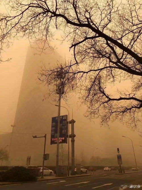 象山的天气，海与山的对峙