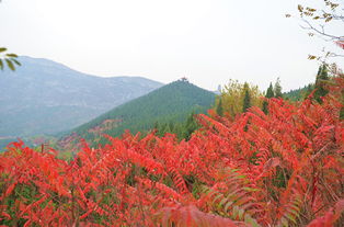 淇县天气预报，在云梦山的四季呼吸里读懂天气