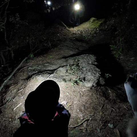 泰山天气预报15天，登山前必看的出行指南