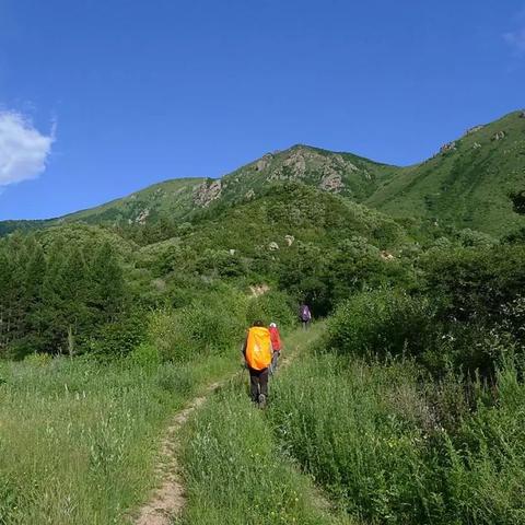 酷暑难耐？盘点国内避暑胜地排名前十，清凉一夏就选它们