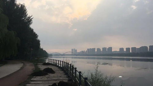 今日宜昌,风雨恋城,气温微澜 今日宜昌,风雨恋城,气温微澜