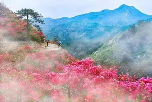 纳雍天气预报,云雾山城里的晴雨密码 纳雍天气预报,云雾山城里的晴雨密码