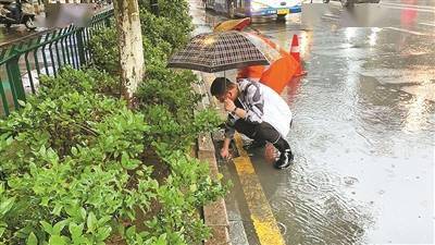 那场精准到分钟的大雨