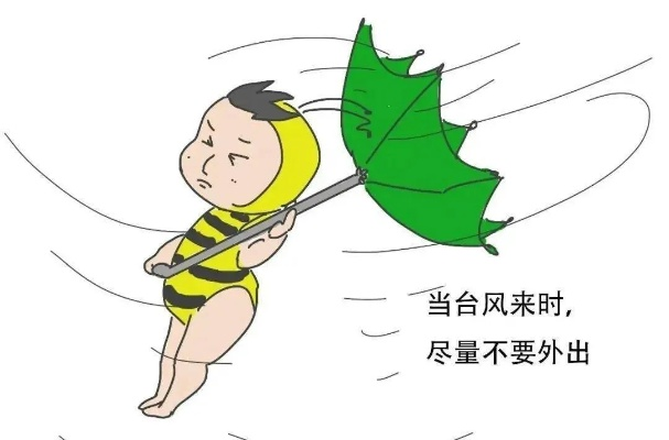 台风暴雨预警拉响时，我们该如何守护家园？