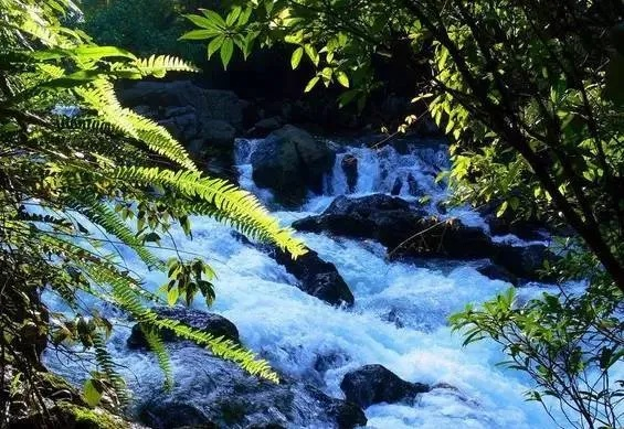 荔波天气，一场与自然呼吸的温柔对话